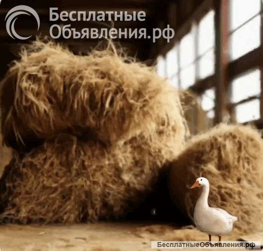 Нетканый материал из льна-волокна и полиэстера