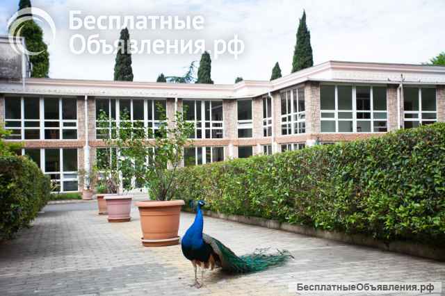 Отдых в Абхазии. Курортный комплекс "Гагрипш" в Гаграх