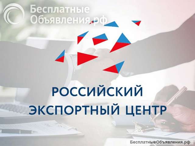Бизнес в Латинской Америке (Мексика, Бразилия)