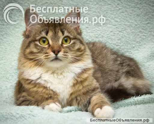 Асю бросили и ей нужен дом