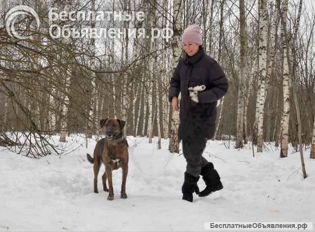 Эрик компаньон-интеллигент ищет семью