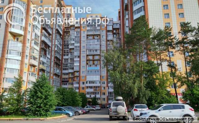 Сдам квартиру студию