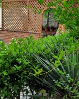 Дом с кухней у моря