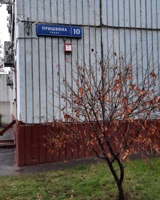 СТУДИЯ НА ВТОРИЧКЕ. Москва, ул. Пришвина, 10