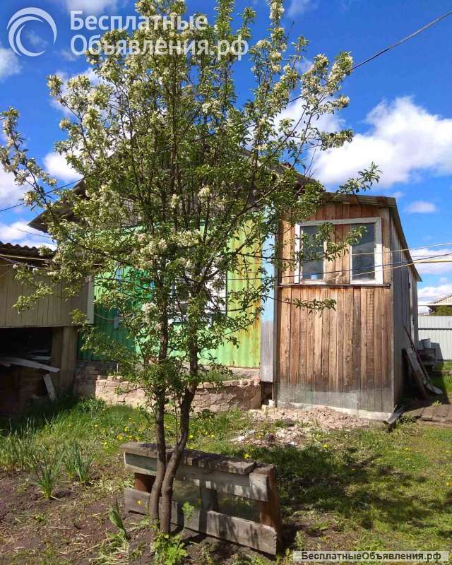 Дом в с. Аромашево