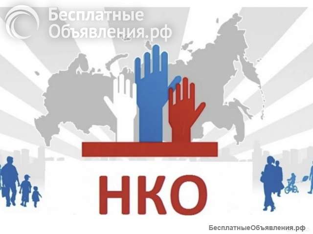 Общественная организация (нко)