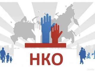 Общественная организация (нко)
