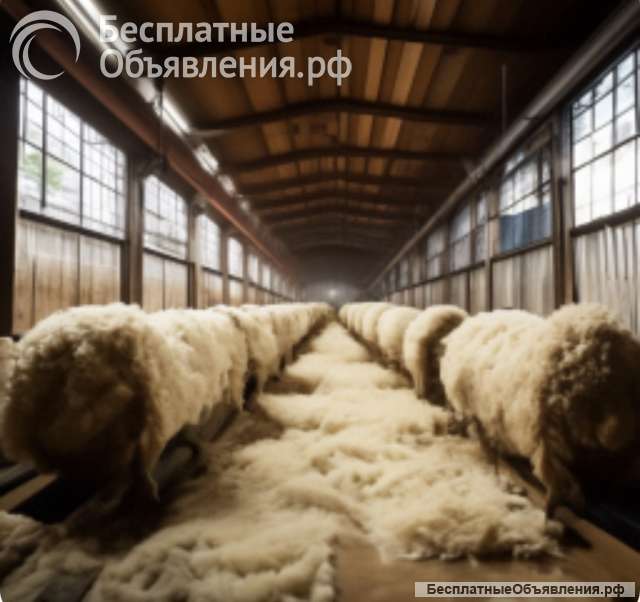 Развития переработки шерсти овечьей