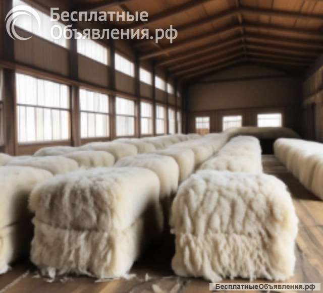 Переработка шерсти овечьей