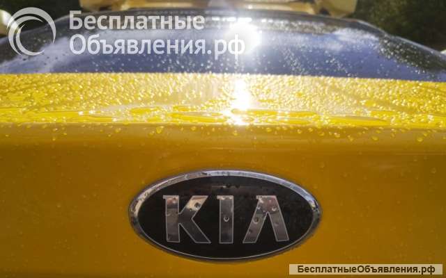 Водитель на аренду 1300