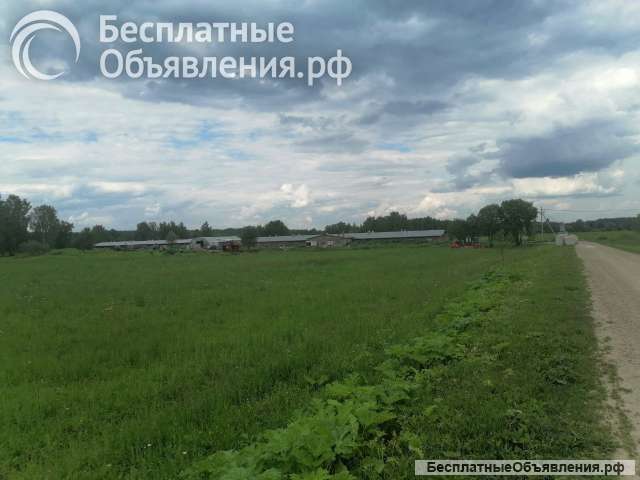 Животноводческая ферма продаю