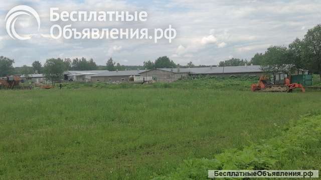 Животноводческая ферма продаю