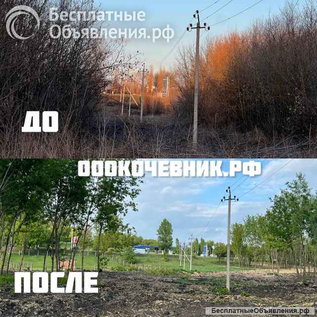 Расчистка участка от деревьев и кустарников