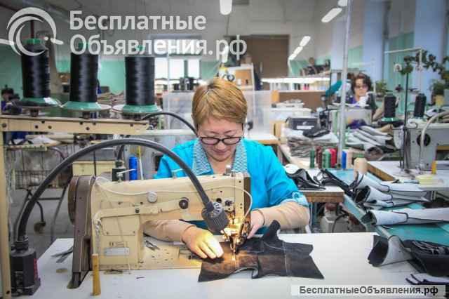 Начинающий специалист на обувную фабрику
