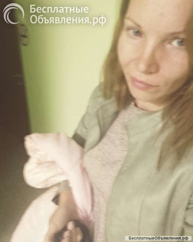 Собеседник на час
