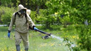 Уничтожение клопов (насекомых)