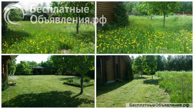 Покос травы, спил кустарников и мелких деревьев