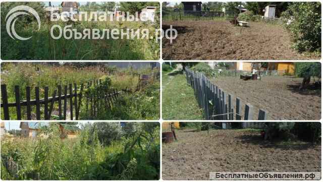 Покос травы, спил кустарников и мелких деревьев