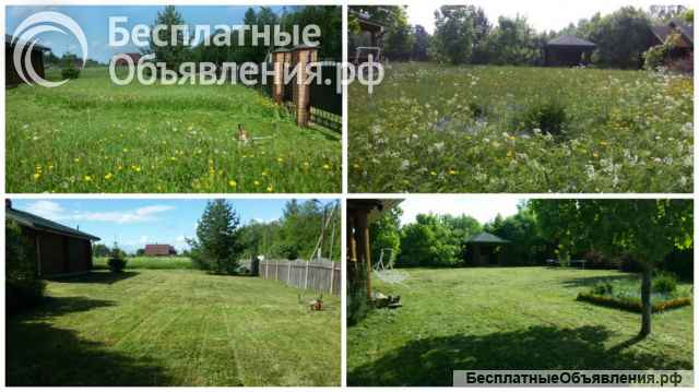 Покос травы, спил кустарников и мелких деревьев