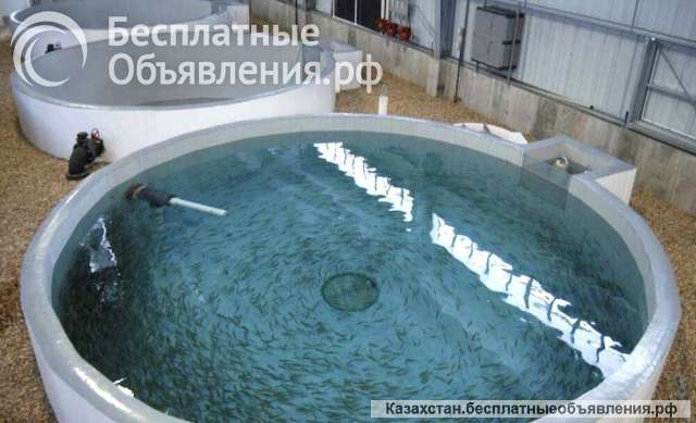 Поменяю емкости из полимер-композитов на СпецТехнику