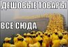 Эксклюзивные товары