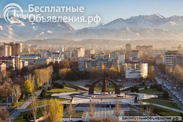 Помощь в получении гражданства Кыргызстана