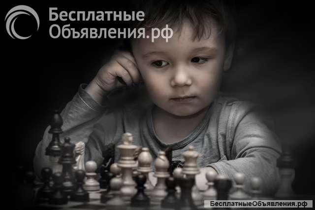 Пpoвожу онлайн занятия пo шаxматaм для взроcлыx и детeй