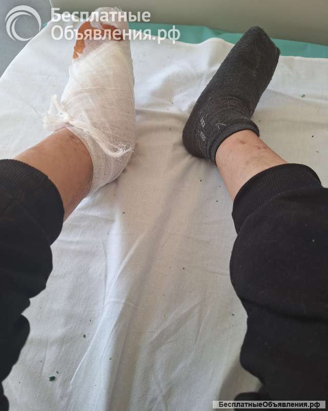 Пожертвовать