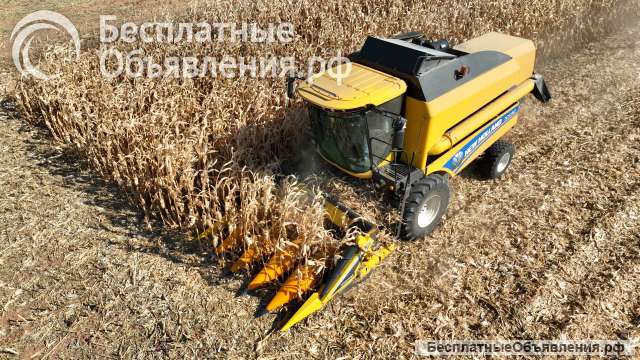 Жатка для уборки кукурузы MT5 - FJB GROUP LLC