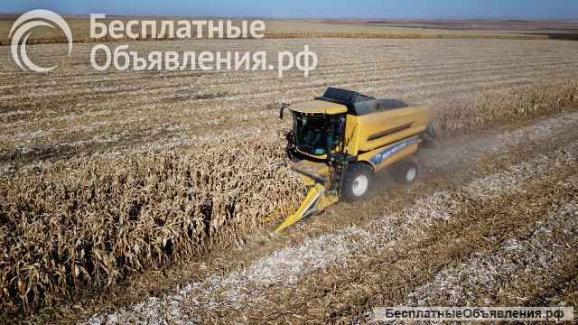 Жатка для уборки кукурузы MT5 - FJB GROUP LLC