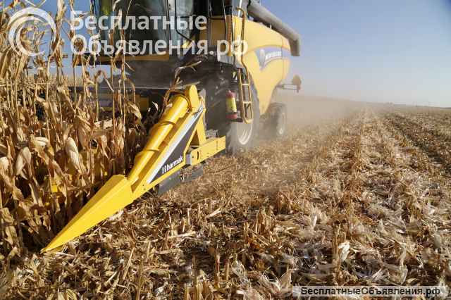 Жатка для уборки кукурузы MT6 - FJB GROUP LLC