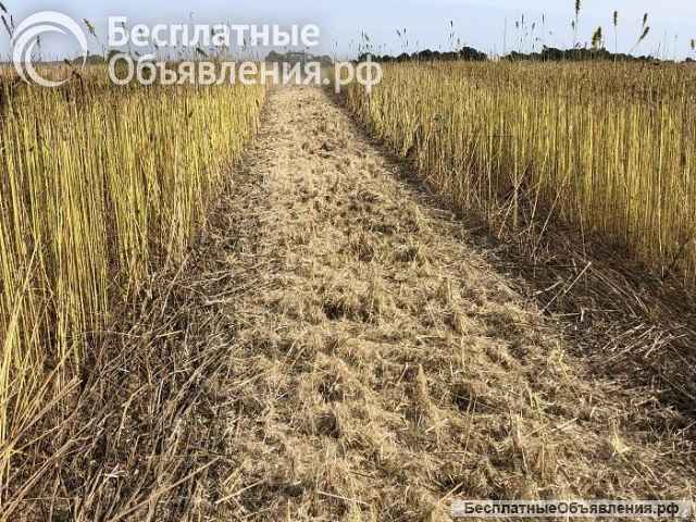 Измельчитель пожнивных остатков MS-170