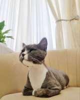 Найдём Тимоше семью