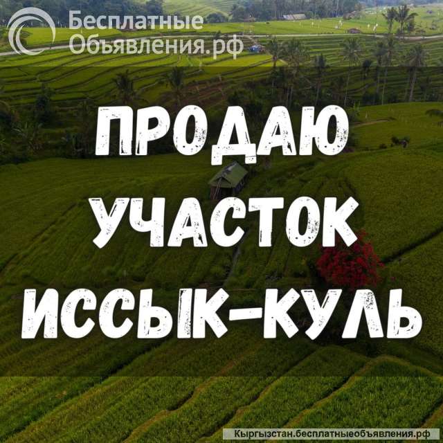 Участок - 12 соток, Чолпон-Ата, б/п