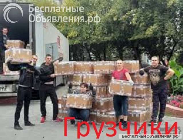 Грузчики /Разнорабочие /Сальск