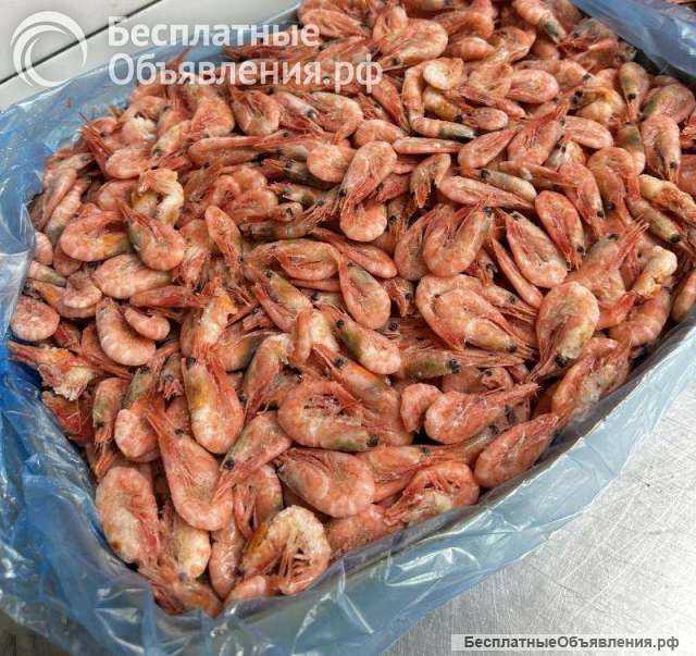 Креветки северные 250+ коробка 5кг