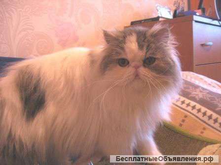 Ждет вас