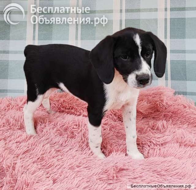 Лолу выбросили на пустынной трассе