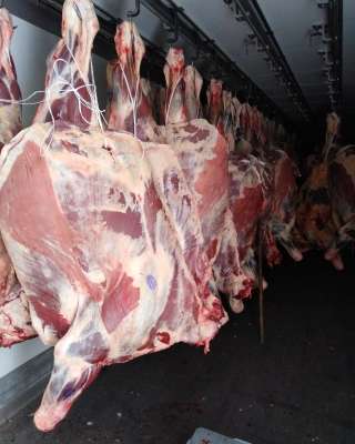 Мясо говядина на кости в четвертинах бык, корова, охлажденная. Свинина(4 компартмент)