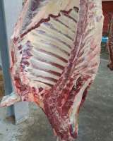 Мясо говядина на кости в четвертинах бык, корова, охлажденная. Свинина(4 компартмент)