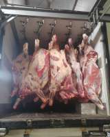 Мясо говядина на кости в четвертинах бык, корова, охлажденная. Свинина(4 компартмент)