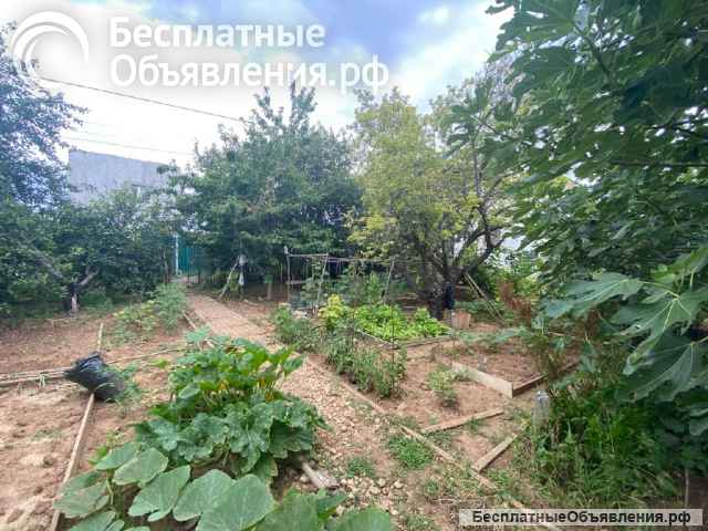 Участок в Севастополе (СТ Херсонес)