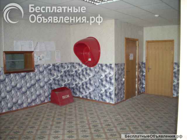 Помещение свободного назначения, 184.9 м²