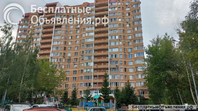 1 комнатная квартира рядом с лесом и рекой