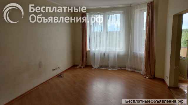 1 комнатная квартира рядом с лесом и рекой