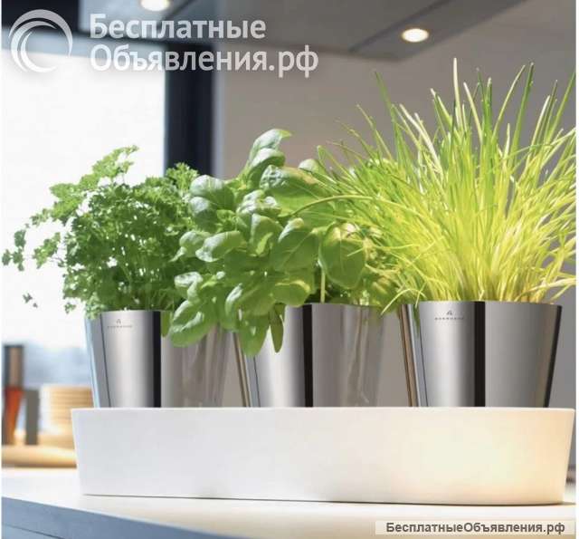 Auerhahn Травяной Сад