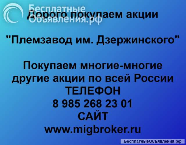 Покупаем акции «Племзавод Дзержинского»