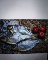 Астраханская рыбка и мясо молодого барашка