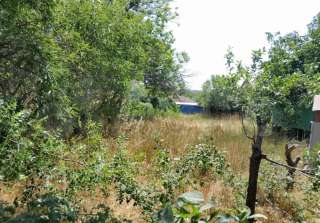 Участок 5.7 соток. Максимова дача