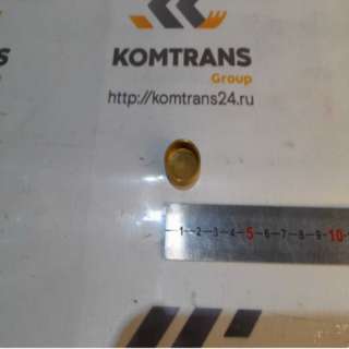 Заглушка ГБЦ (22 мм) LW500FN